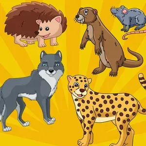 All About Animals