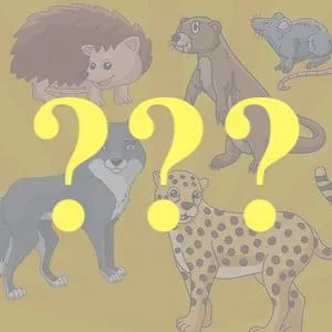Animal Assessment