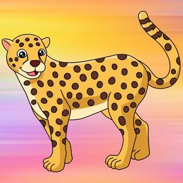 Cheetahs